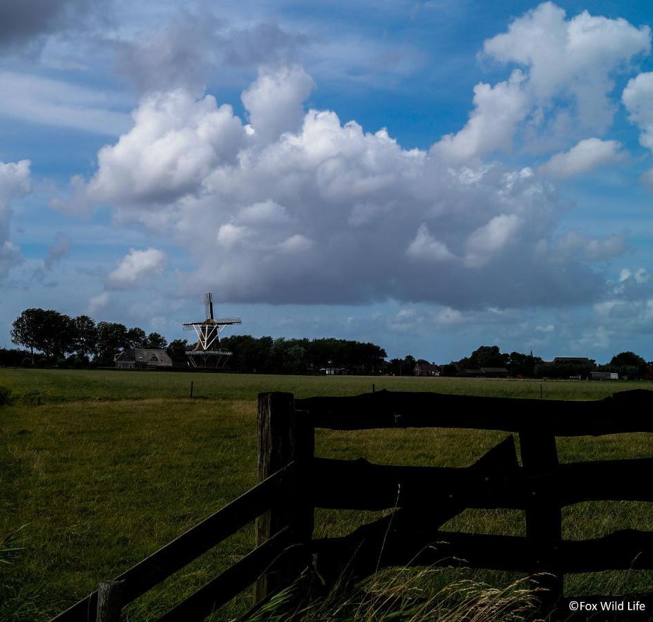 Bed and Breakfast The Wee White Hoose Oosternijkerk Экстерьер фото