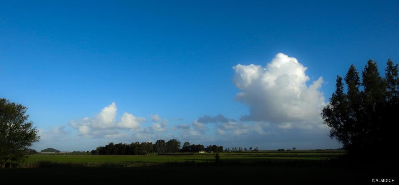 Bed and Breakfast The Wee White Hoose Oosternijkerk Экстерьер фото