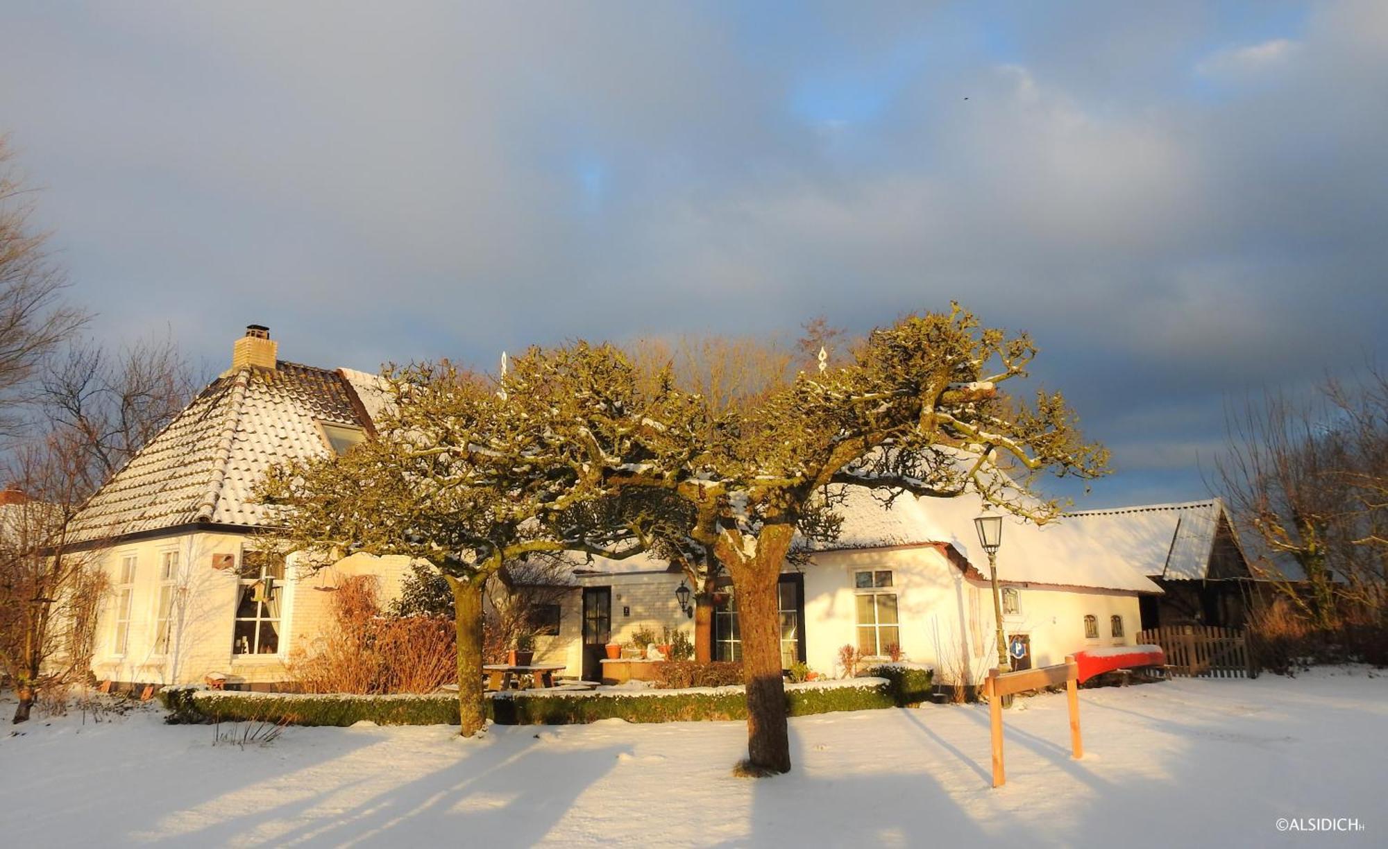 Bed and Breakfast The Wee White Hoose Oosternijkerk Экстерьер фото