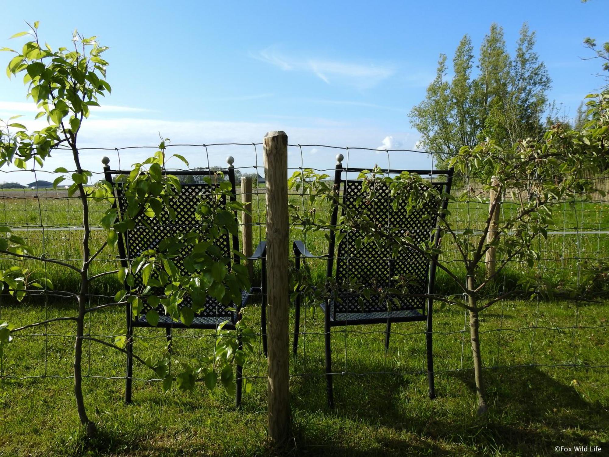 Bed and Breakfast The Wee White Hoose Oosternijkerk Экстерьер фото