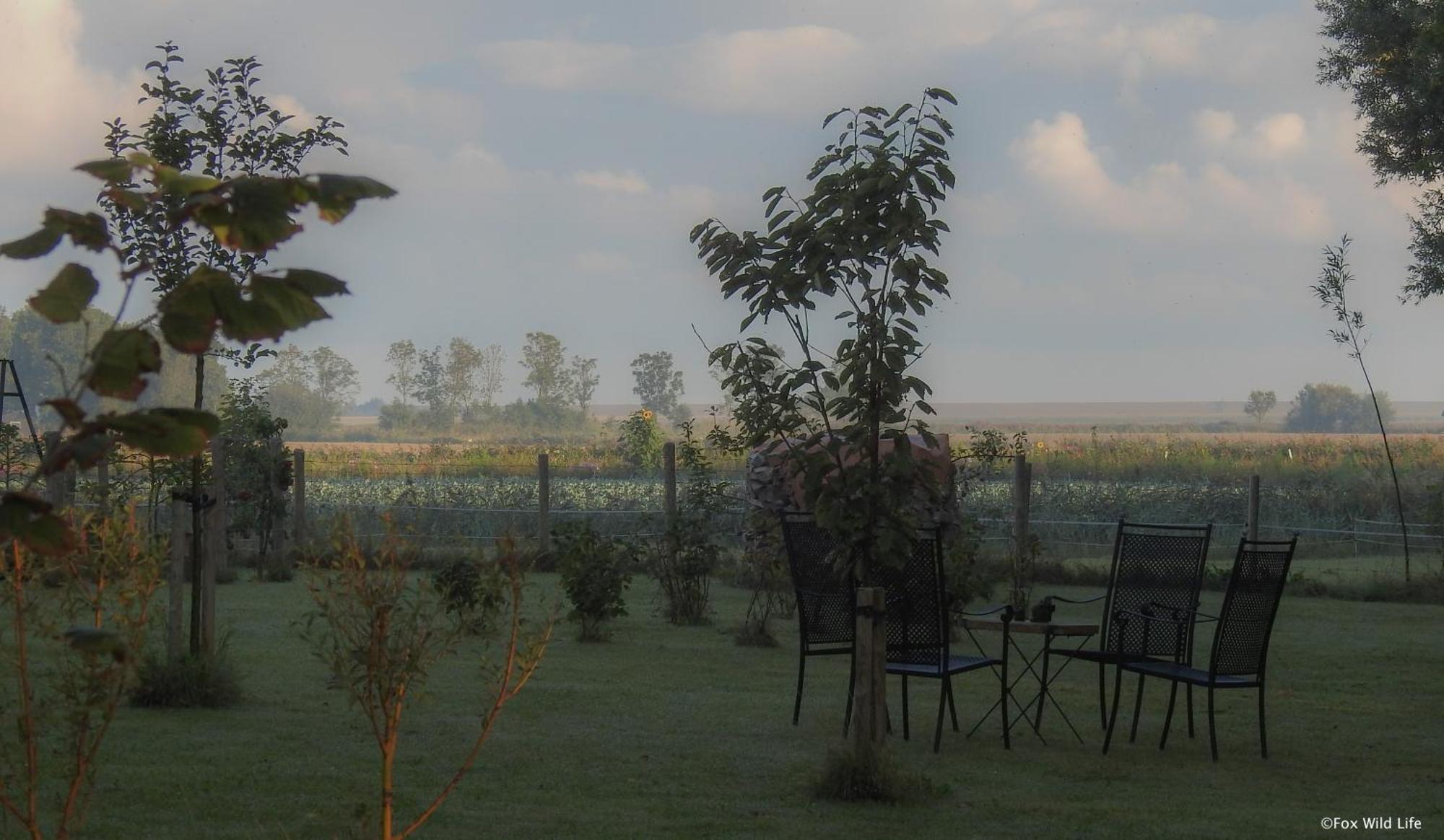 Bed and Breakfast The Wee White Hoose Oosternijkerk Экстерьер фото